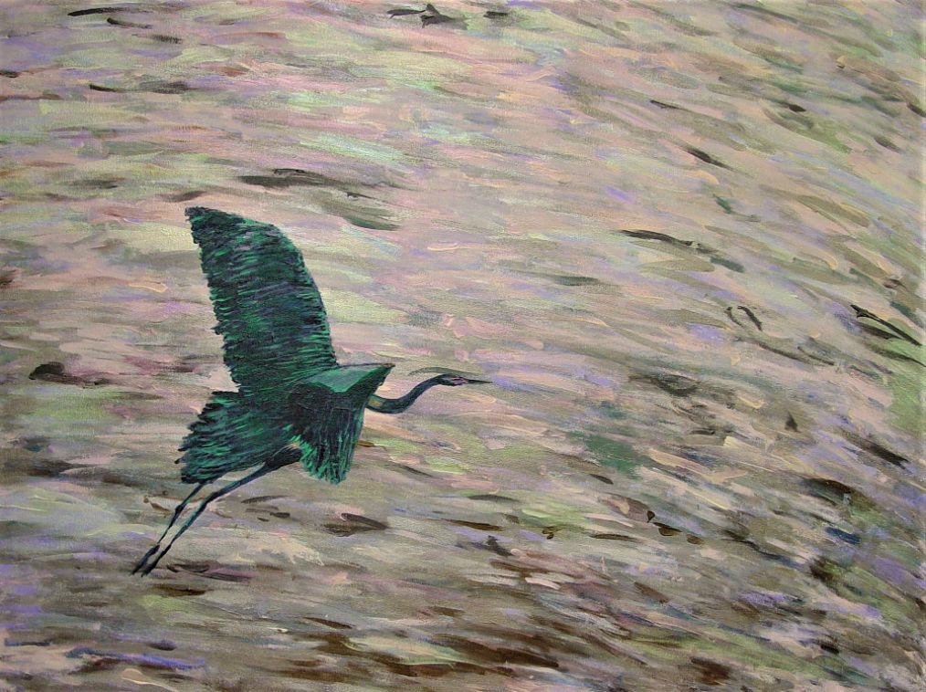 Blue Heron Over Water Acrylic on Canvas 38x36 $4000